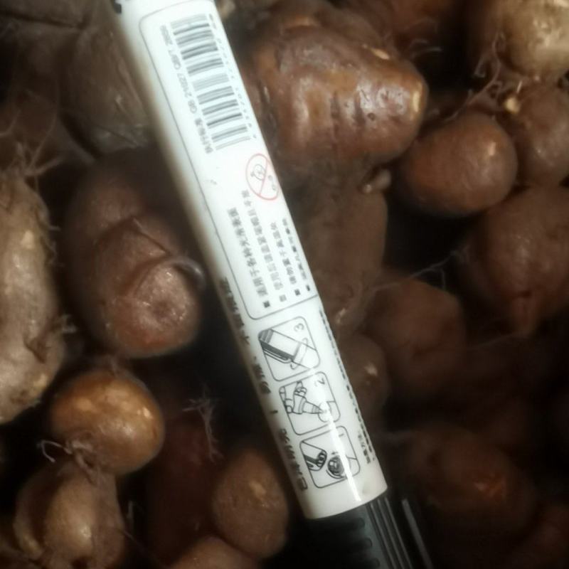 一年四季有三叶青鲜果供应，欢迎新老客户联系！
