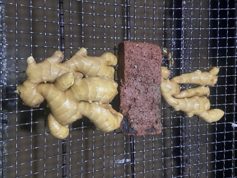 展示大黄姜与黑胡椒、牛奶、鸡肉等常见搭配方式的插画图示 大黄姜搭配示意图