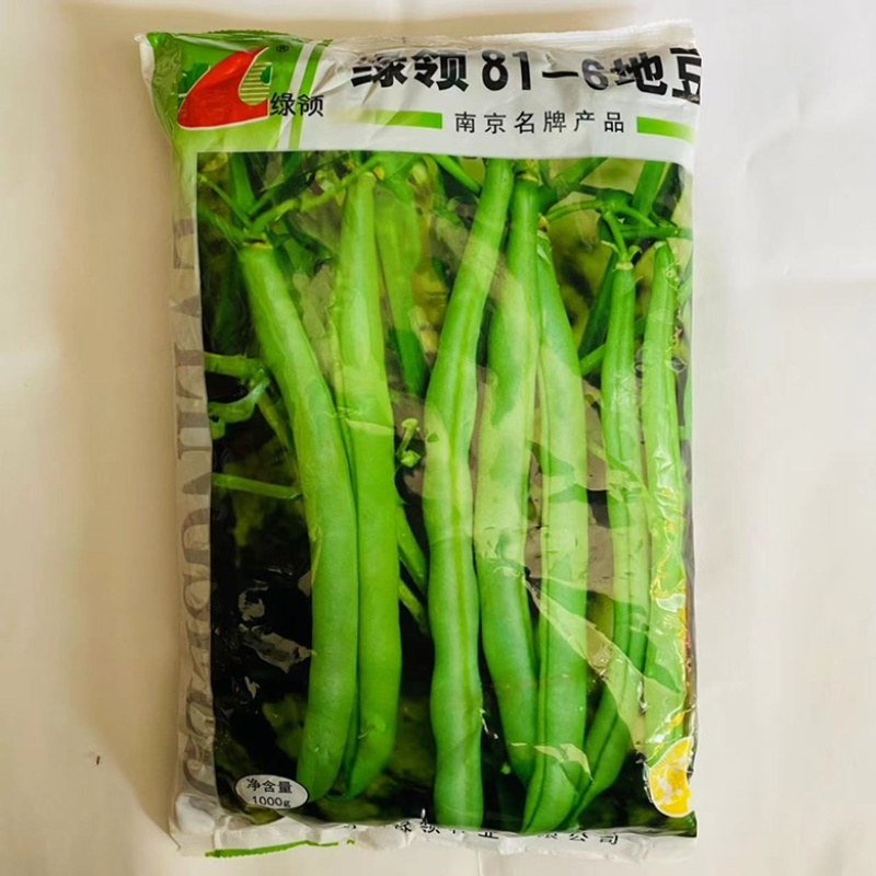 绿领地豆无架豆品种种子