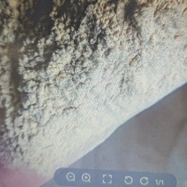 麦麸