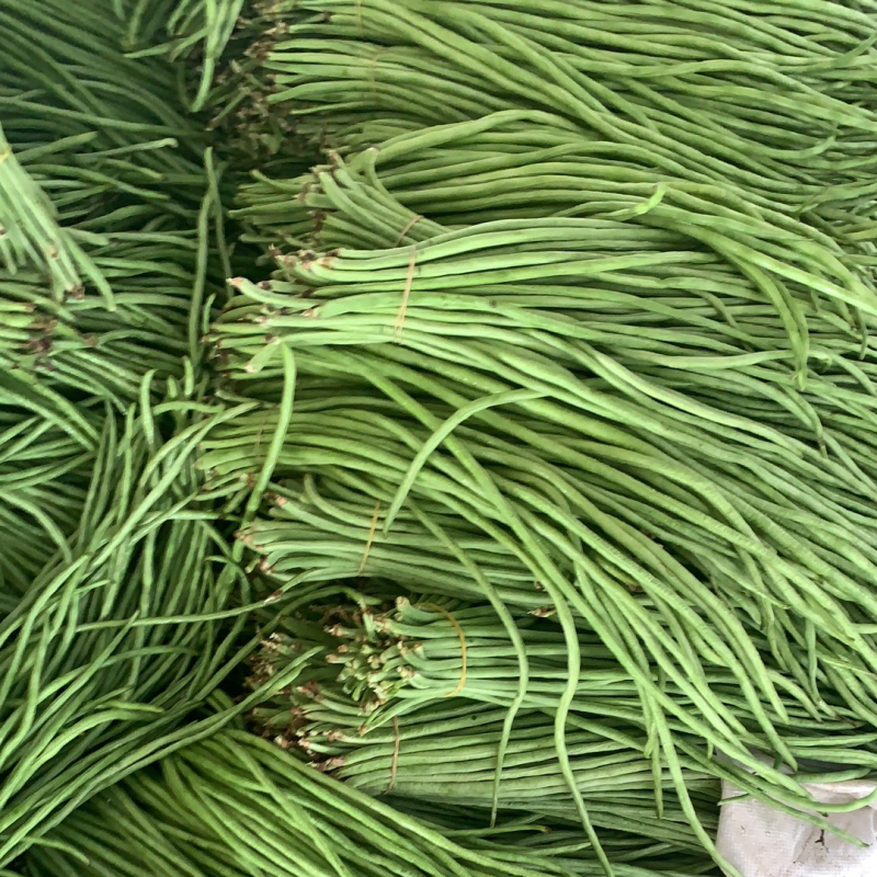 广东精品青豆角，产地直发可实地考察视频看货