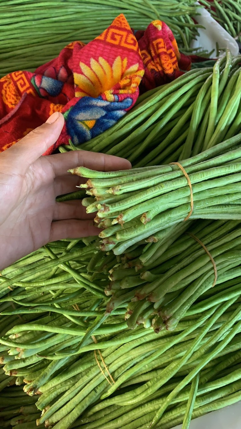 广东精品青豆角，产地直发可实地考察视频看货