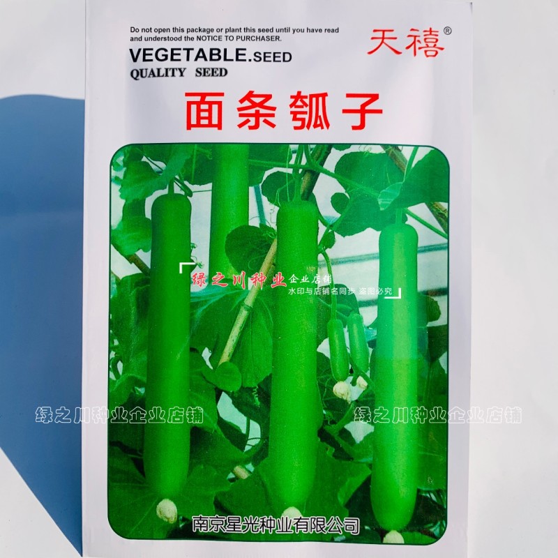 面条瓠子种子长瓠瓜种子蒲瓜种子瓜肉微甜肉质细