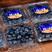 新疆蓝莓新鲜上市，一件代发包邮