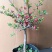 海棠花28一颗包邮，带花包发货，清棚处理海棠，彩玉，绿宝