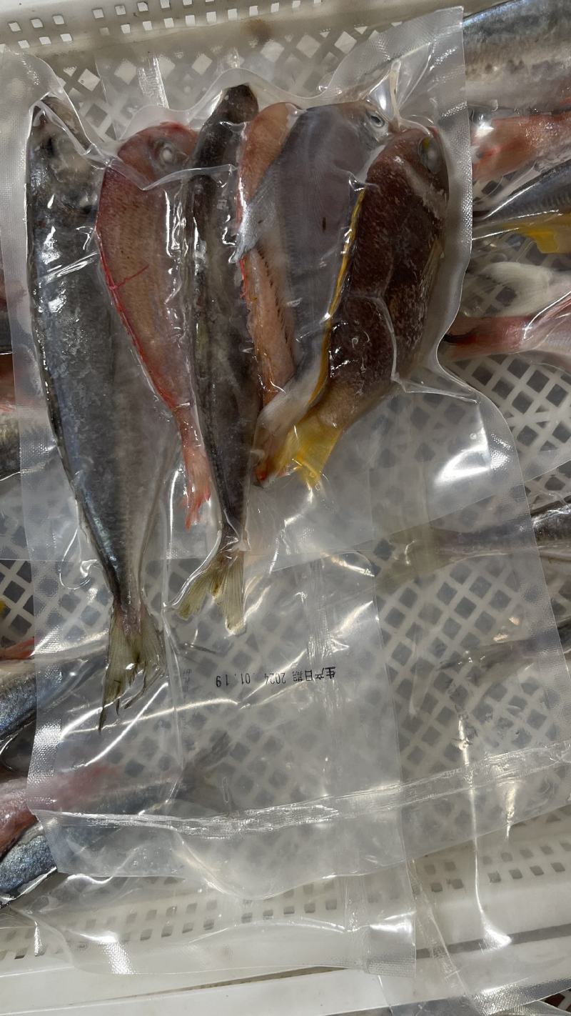 杂鱼包一海捕灯罩鲜鱼制作，厂家直销。