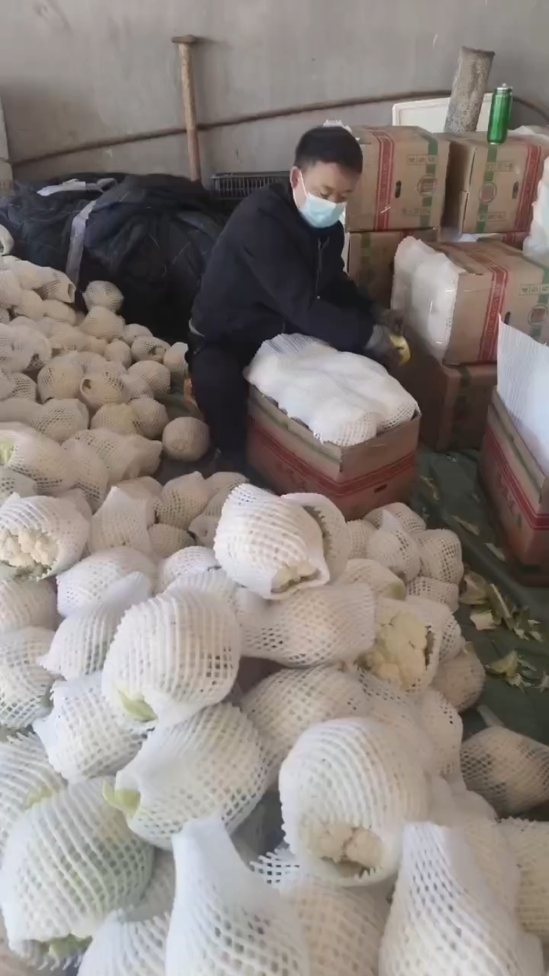 有机菜花，精品质量，价格优惠，一条龙服务