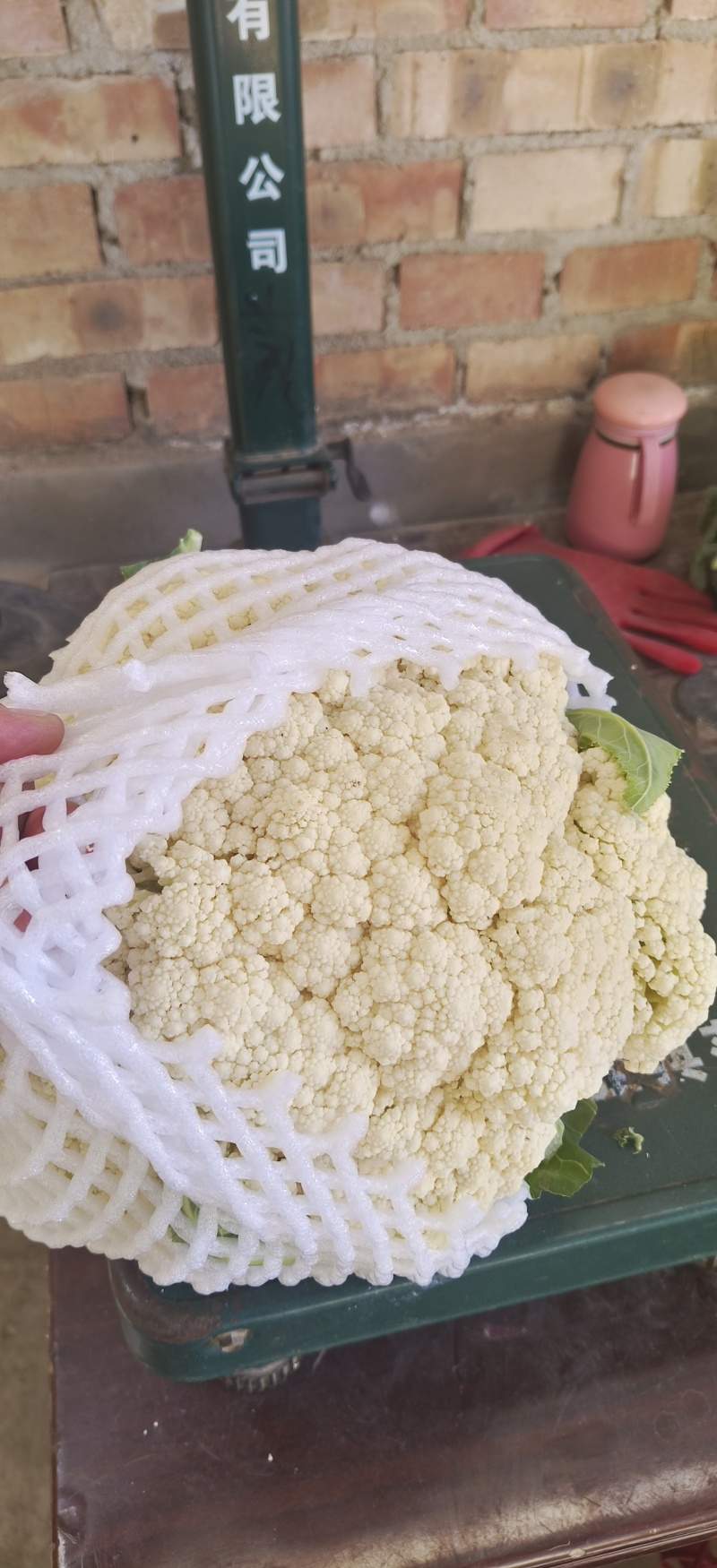 有机菜花，精品质量，价格优惠，一条龙服务