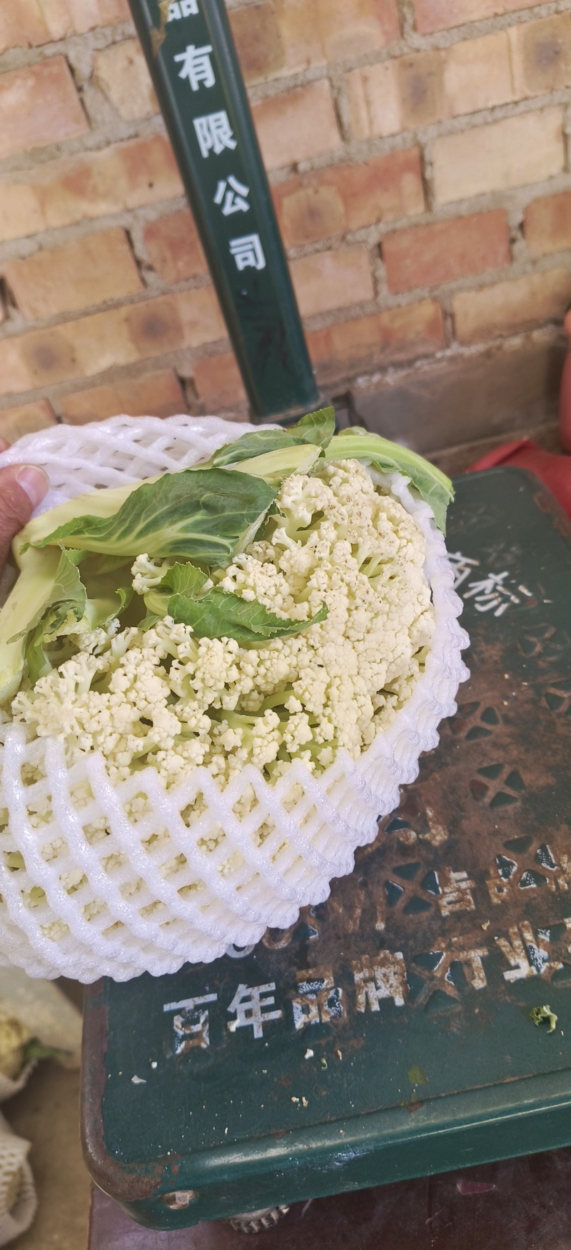 有机菜花，精品质量，价格优惠，一条龙服务