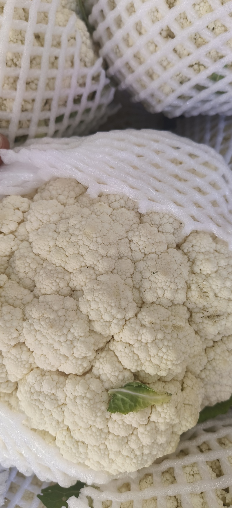 有机菜花，精品质量，价格优惠，一条龙服务