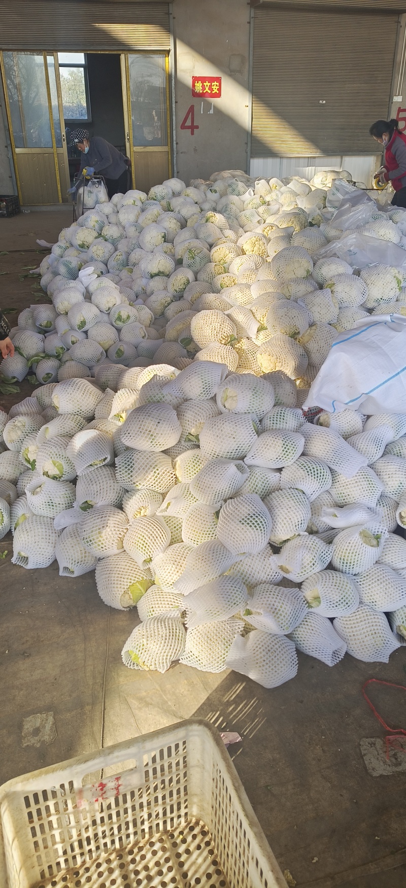 有机菜花，精品质量，价格优惠，一条龙服务