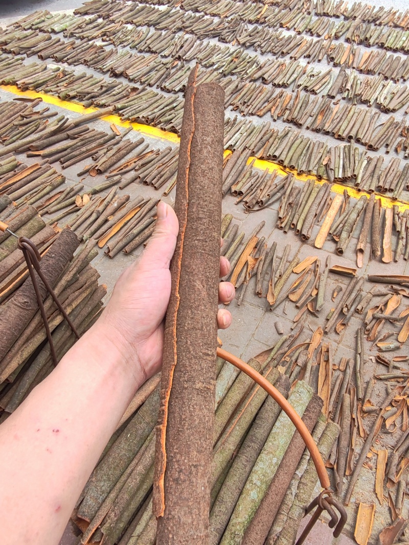 肉桂，产地高要区量大从优