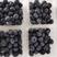 15+莱克西蓝莓，精品蓝莓，大田陆地种植，批发零售在线下