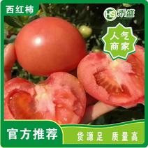 精品硬粉西红柿产地直发品质保证一手货源欢迎电联