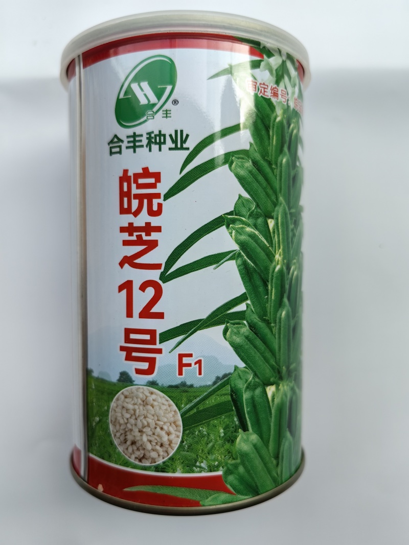 杂交芝麻种子皖芝12号高产白芝麻种高油矮脚榨油芝麻种子籽