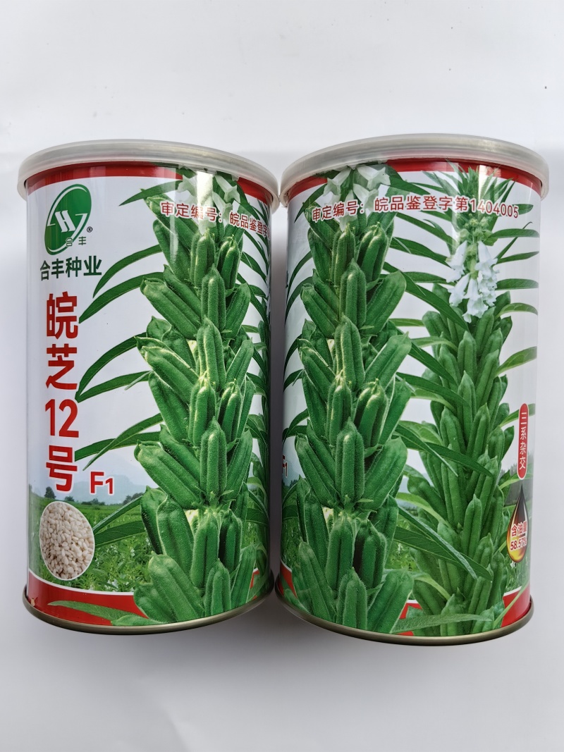 杂交芝麻种子皖芝12号高产白芝麻种高油矮脚榨油芝麻种子籽
