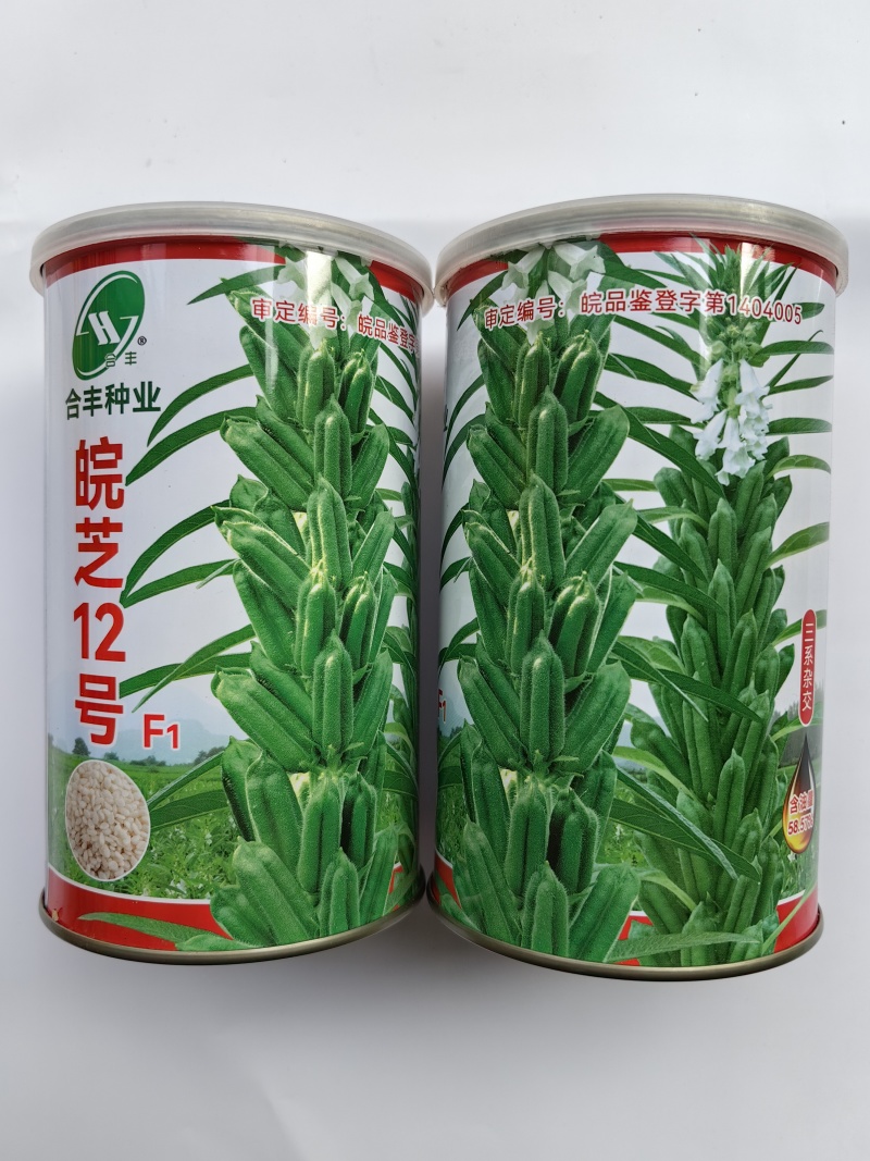 杂交芝麻种子皖芝12号高产白芝麻种高油矮脚榨油芝麻种子籽