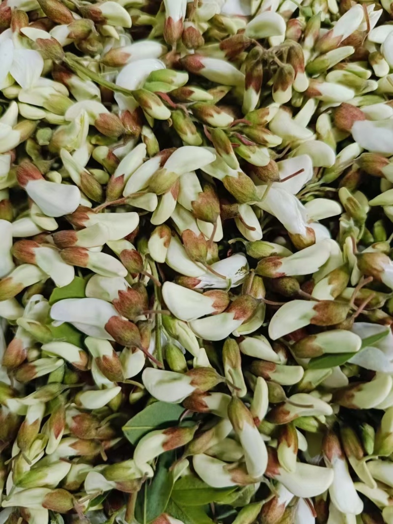 杨槐花