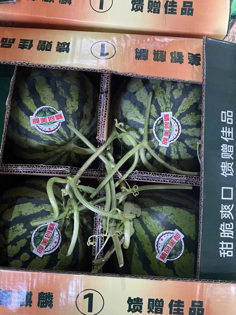 电话沟通更优惠夏邑县无籽美都西瓜大量供应质量好保质保量