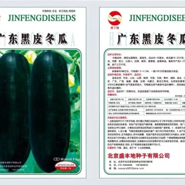 冬瓜苗优质高产抗病黑皮冬瓜苗一串铃冬瓜苗中通当天发货