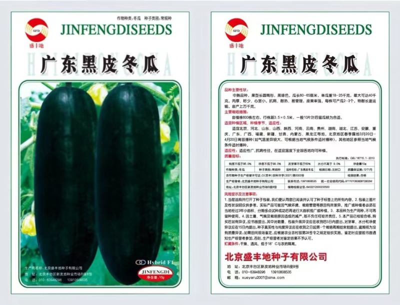 冬瓜苗优质高产抗病黑皮冬瓜苗一串铃冬瓜苗中通当天发货