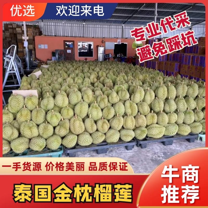 【有好货】泰国越南金枕头A果B果榴莲果型饱满，干包黄肉