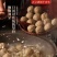 正宗潮汕牛肉丸牛筋丸火锅食材潮汕特产烧烤