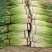 蒜苔白帽蒜苔红帽蒜苔对接电商加工厂批发市场