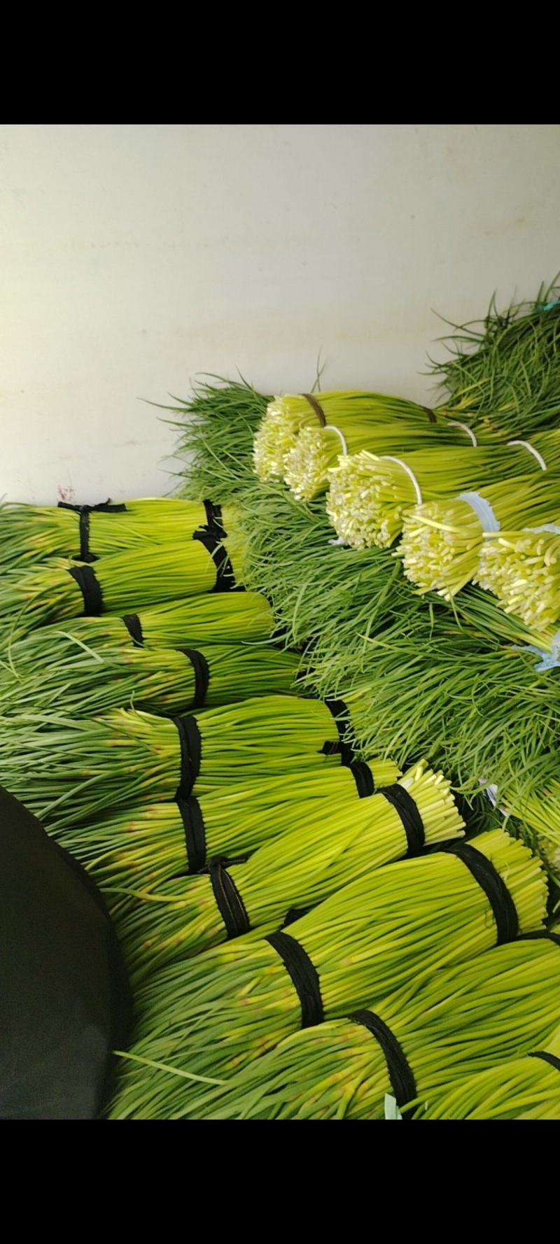 河南省临颍县，蒜苔大量上市