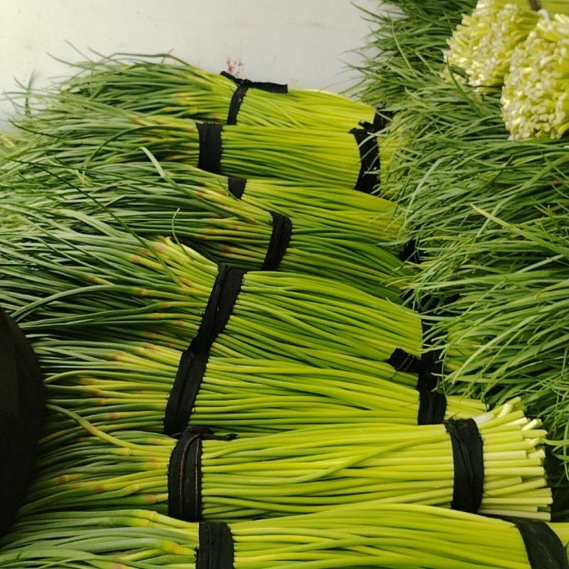 河南省临颍县，蒜苔大量上市