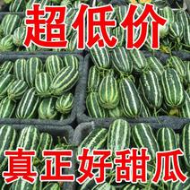 【头茬甜瓜】绿宝甜瓜，博洋九，羊角蜜，产地直发，价格便宜