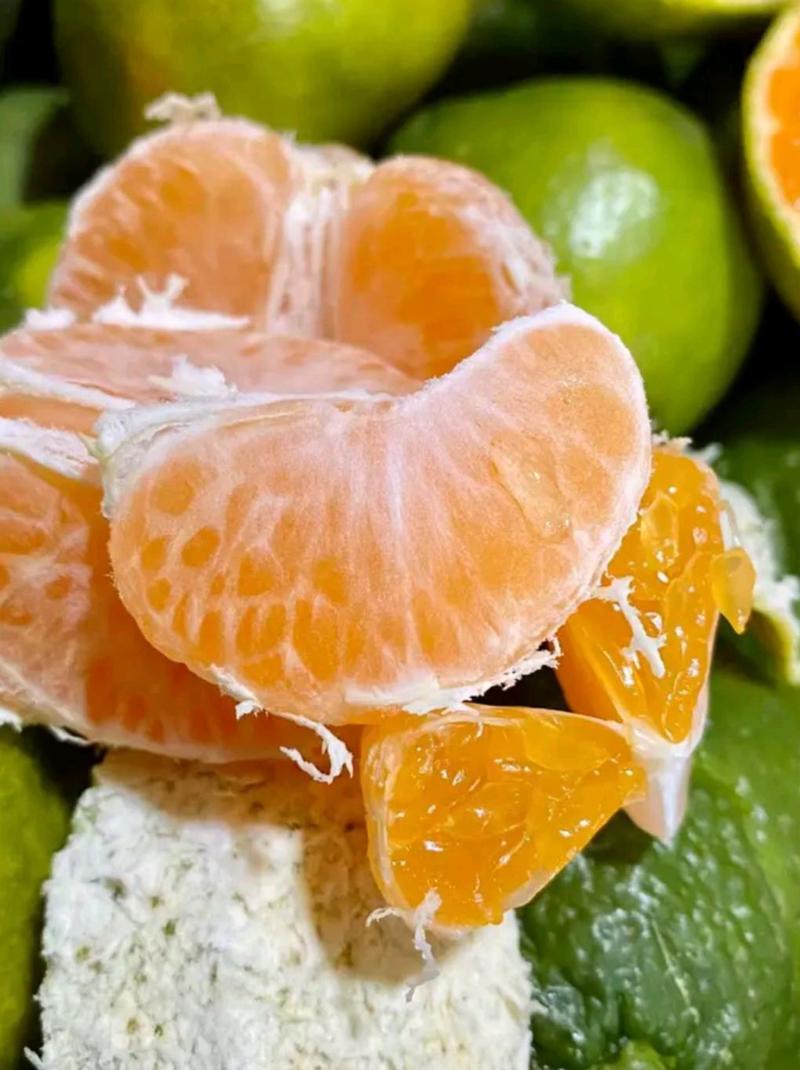 云南特早蜜橘柑桔皮簿多汁对接批发市场商超社区团购出口贸易