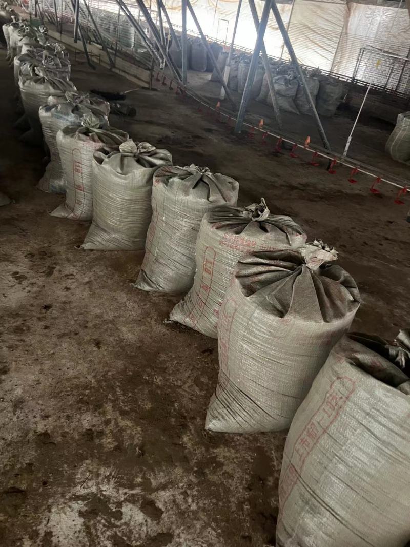 有机禽畜粪便肥，谷壳鸡粪，欢迎进店了解，