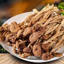 茶树菇干货广昌特产500g未开伞鲜嫩脆茶树菇煲炖汤食材