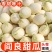 陕西阎良小籽甜瓜，2024年头茬新鲜采摘香甜多汁