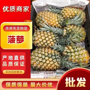 【实力推荐】徐闻菠萝种植基地，大量有货全国供应欢迎来电