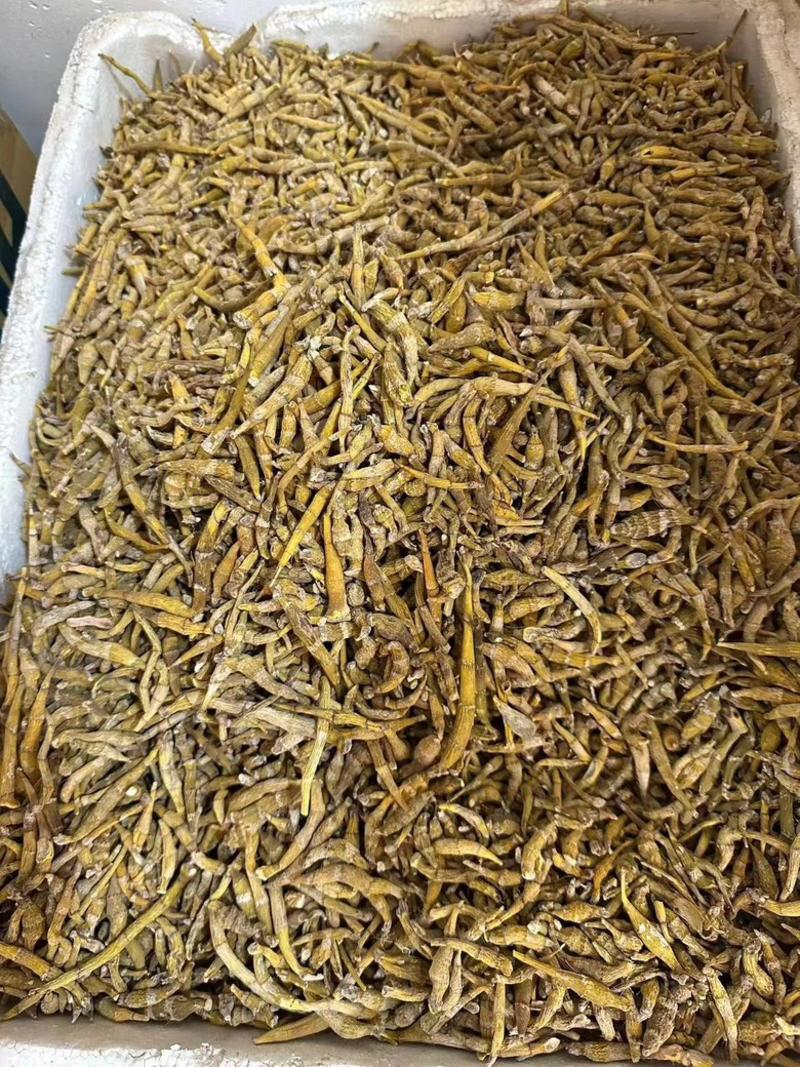 柬埔寨野生石斛大量有货欢迎联系广西东兴口岸发货