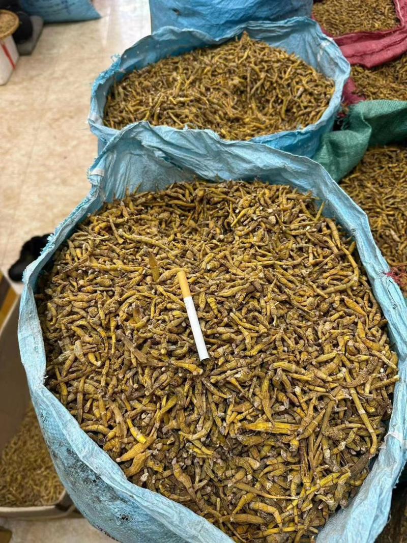 柬埔寨野生石斛大量有货欢迎联系广西东兴口岸发货