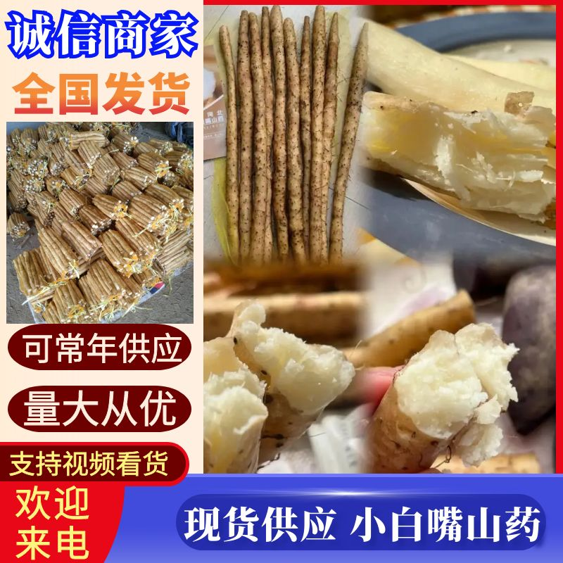 小白嘴山药《湖北》现货供应中常年批发可全国发货