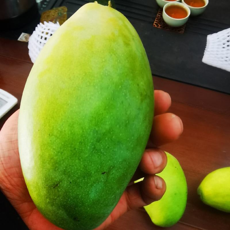 大青芒电商一件代发