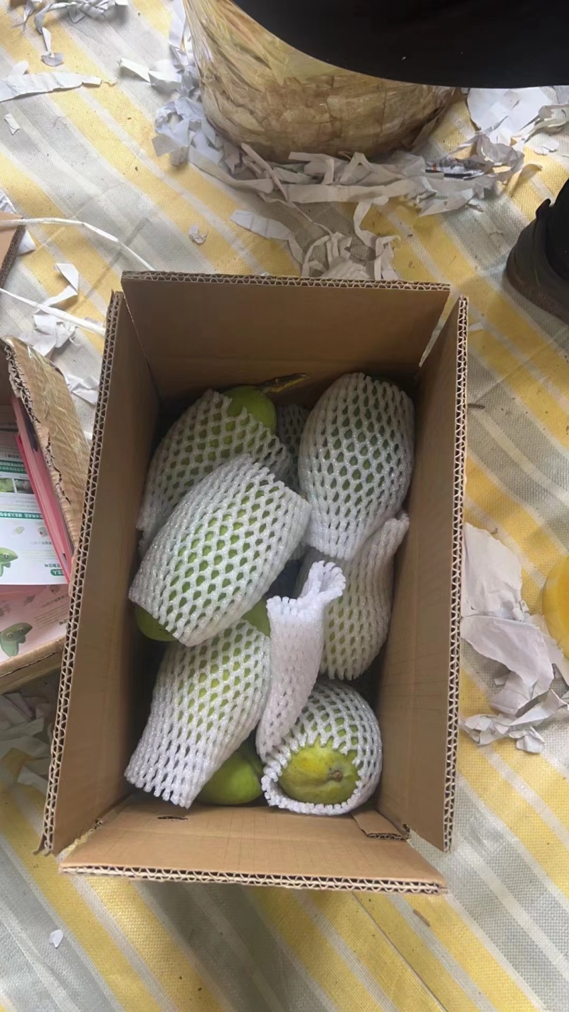 大青芒电商一件代发