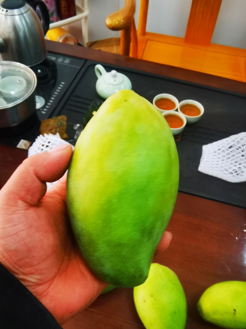 大青芒电商一件代发