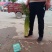 白帽蒜苔