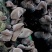 东北黑木耳干货，农家特产无根无添加，口感好，肉厚脆爽