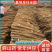 麻山药《河北保定蠡县》现货供应全国发货欢迎来电