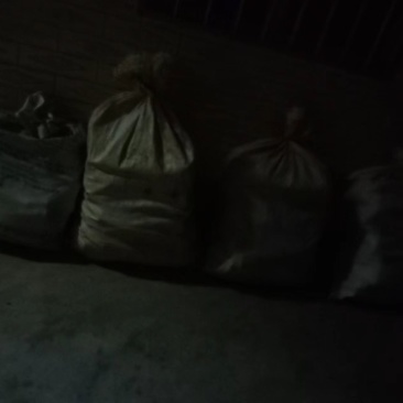 德庆县桂皮直供，新鲜上市！