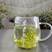 白茶（安吉白茶）明前绿茶新茶产地直发品质保证