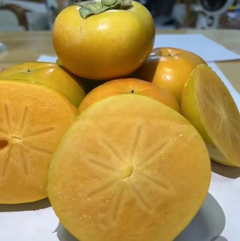 太秋甜柿苗，肉质脆嫩，品质优四川巴中欢迎来电咨询