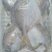 鲳鱼，6条/盘，现货