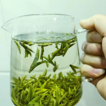 茶叶